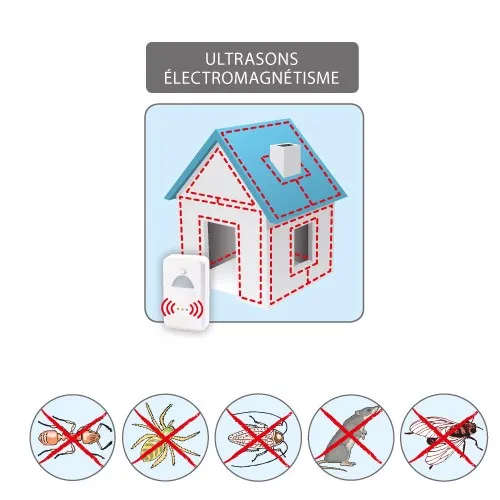 Chasse-nuisibles électrique