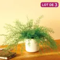 Plante repousse-insectes