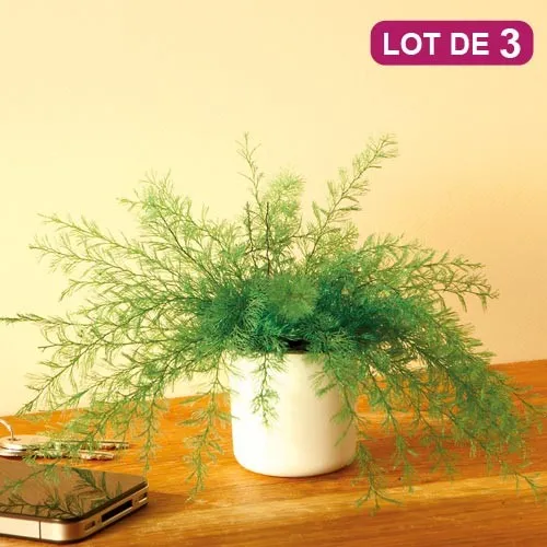 Plante repousse-insectes