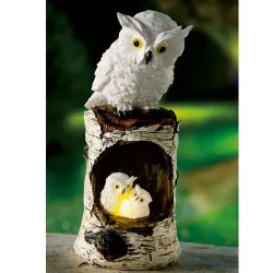 Chouette famille solaire