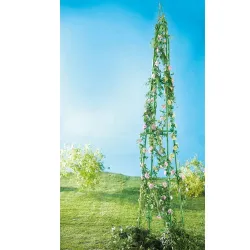 Obélisque floral