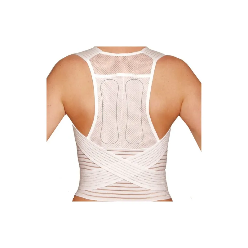 Ceinture de maintien