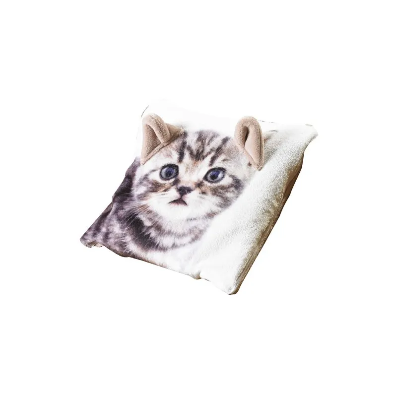 Coussin-plaid chat