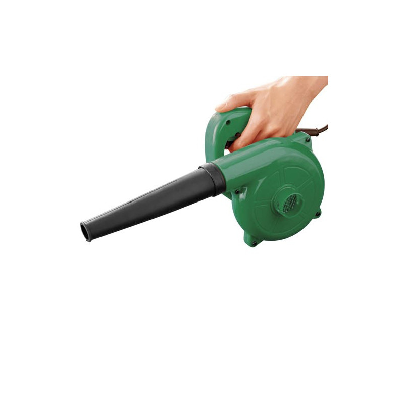 Souffleur électrique