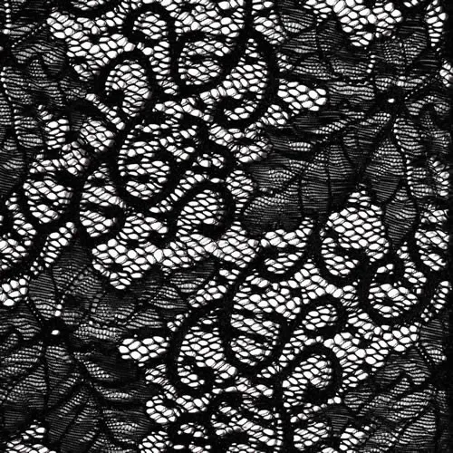 Veste dentelle Altesse