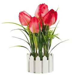 Tulipes «Éternelles»