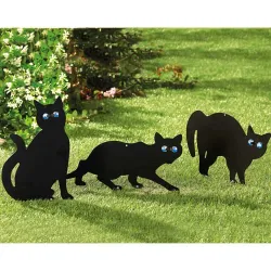 Chats effaroucheurs - les 3
