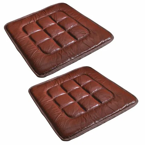 Couvre-chaises en cuir x2