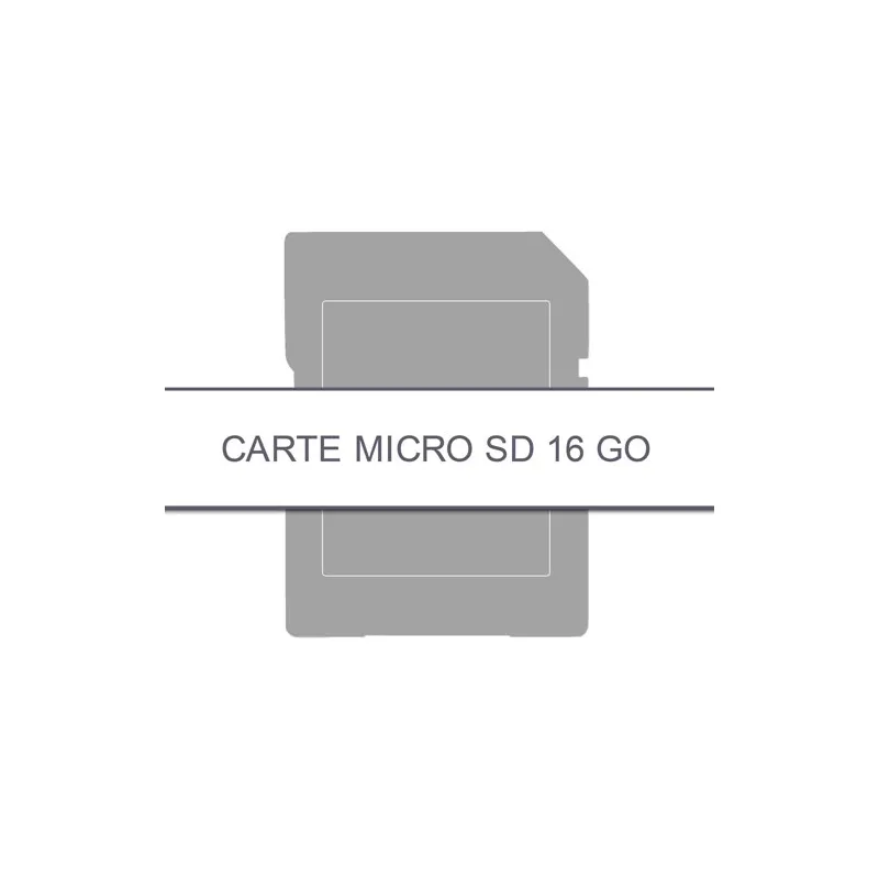 Carte micro SD 16 Go