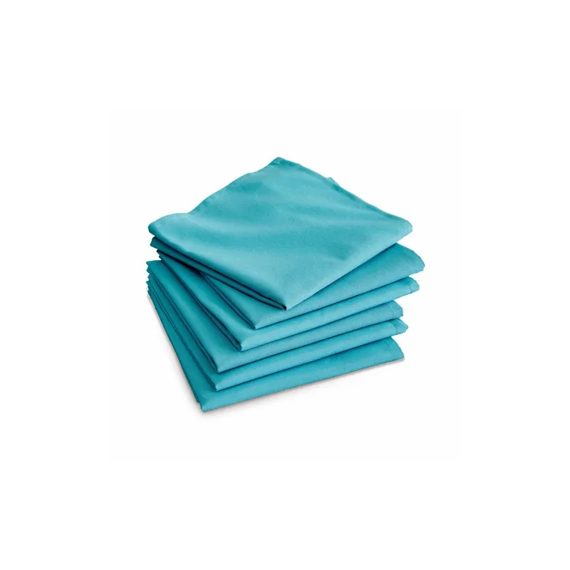 Les 6 serviettes unies BlanClarence®