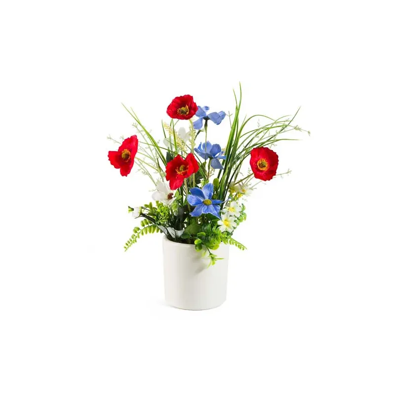 Fleurs des champs éternelles