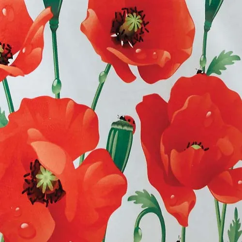 Ensemble tapis coquelicots - les 2