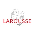Larousse de poche électronique