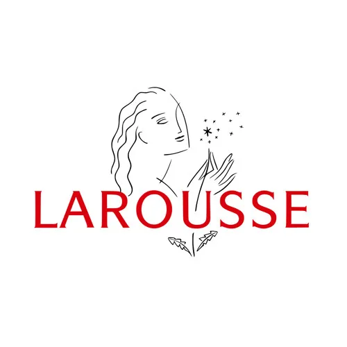 Larousse de poche électronique