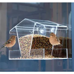 Mangeoire à oiseaux transparente