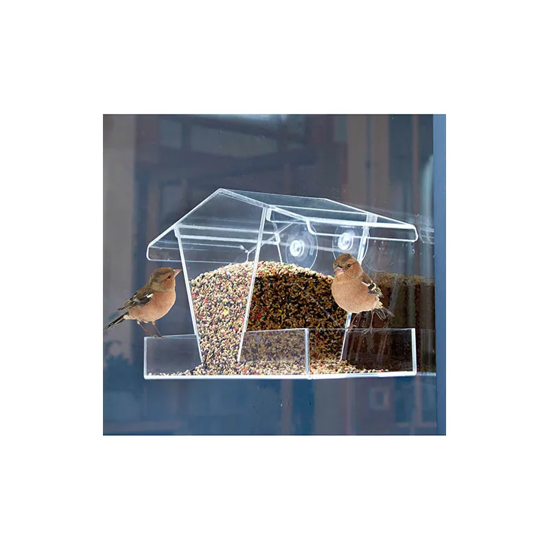 Mangeoire à oiseaux transparente