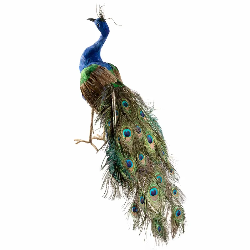 Paon décoratif