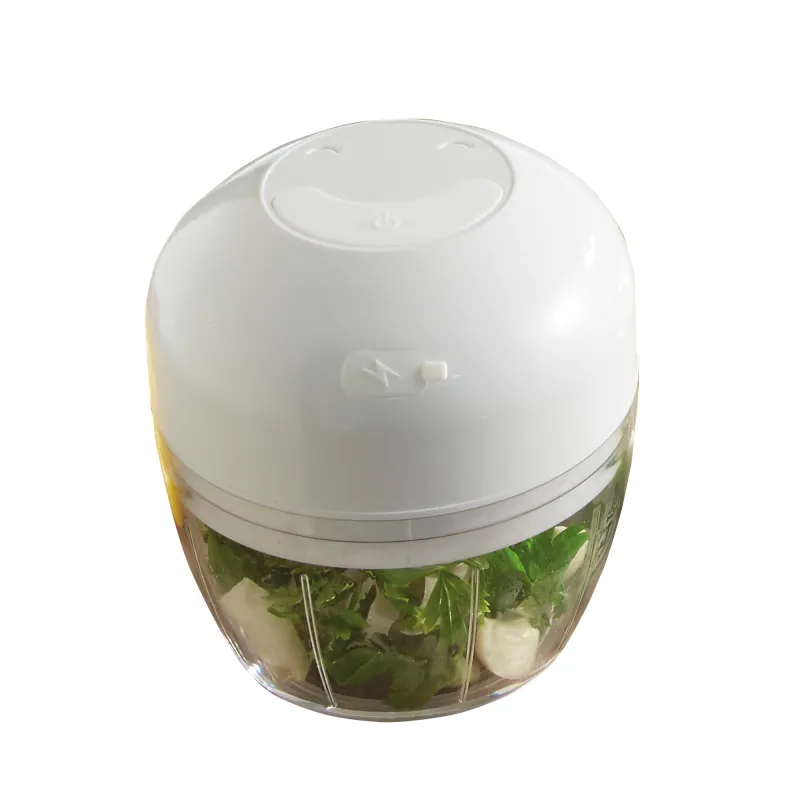 Mini-hachoir rechargeable