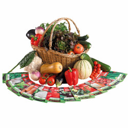 Coffret "mon potager clé en main"