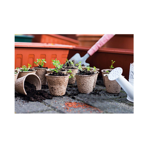 Coffret "mon potager clé en main"