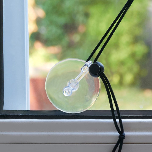 Sapin lumineux fenêtre