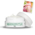 Gel de massage harpagophytum