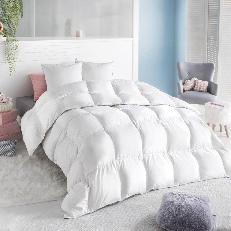 Set De 2 Oreillers En Plumes Et Duvet D'oie 60x60 Cm - 85% Plumes, 15% Duvet, Taie 100% Coton, Lavable