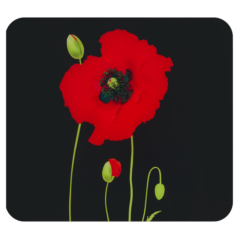 Crédence Coquelicots