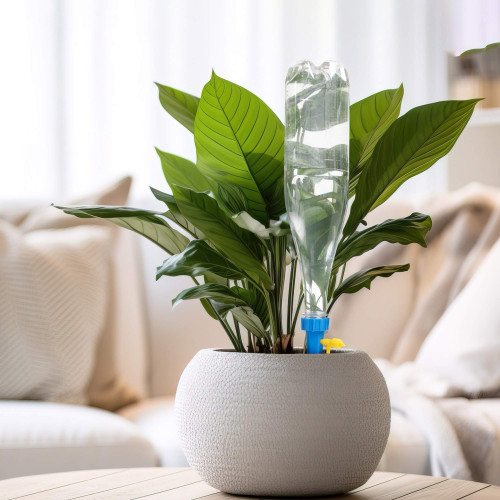 EN CADEAU : Les 10 cônes d'arrosage