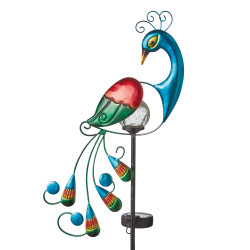 Paon solaire lumineux