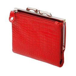 Compagnon cuir Carmin