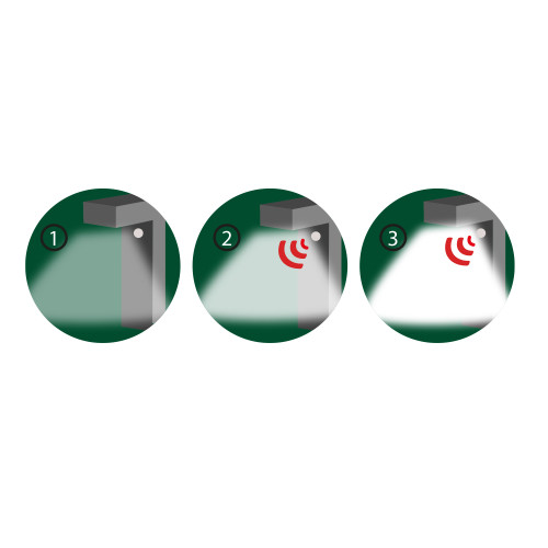 Borne solaire sensor «intelligente» (3)