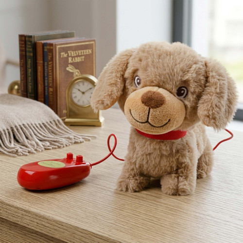 Noisette chien filoguidé (4)