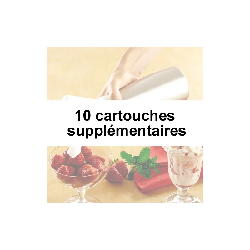 10 Cartouches pour Siphon crèmes et mousses