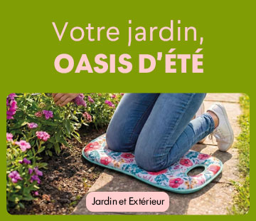 Bannière 3 ligne 2